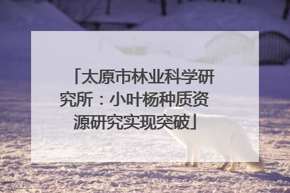 太原市林业科学研究所：小叶杨种质资源研究实现突破